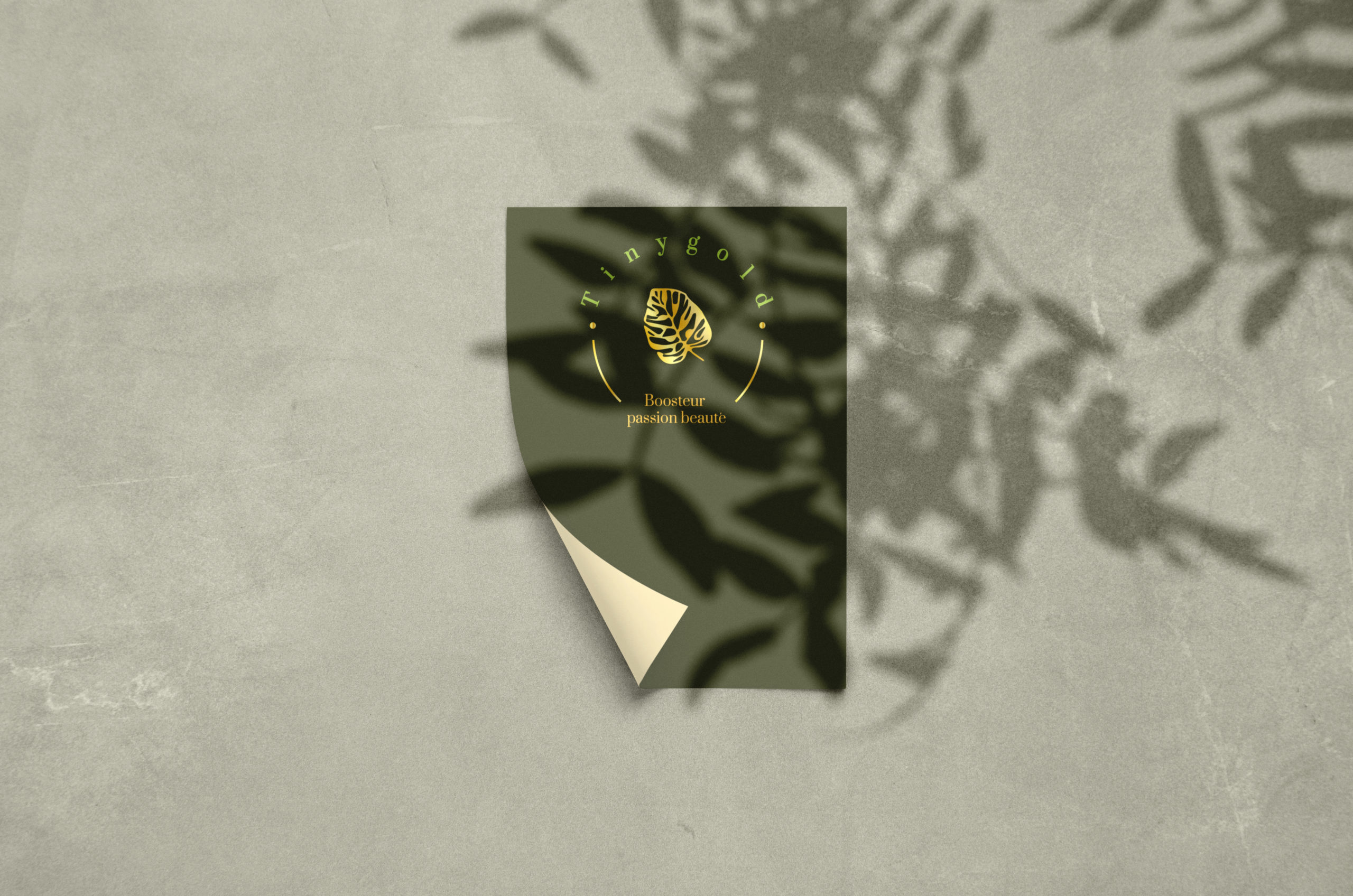Simple Mockups by Asylab